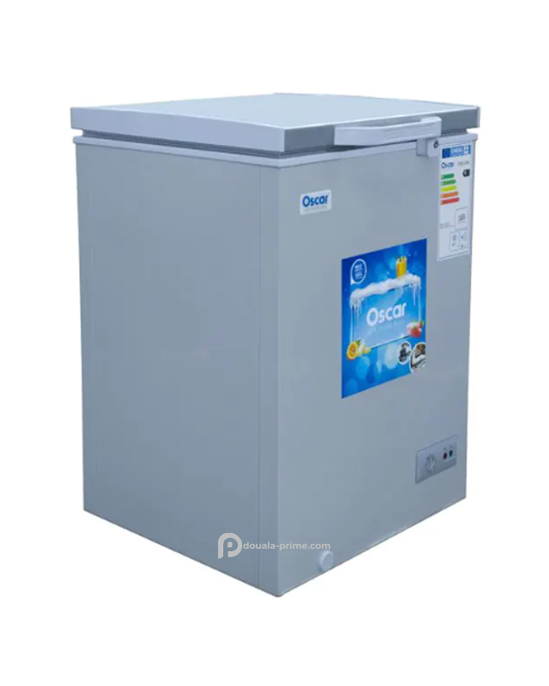 CONGELATEUR COFFRE OSCAR OSC-250 140L