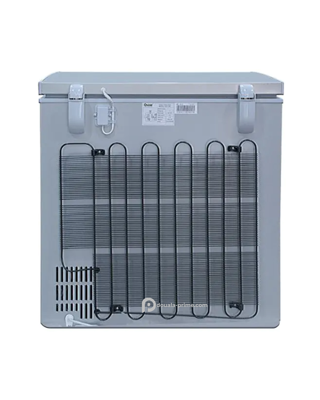 CONGELATEUR COFFRE OSCAR OSC-250 140L