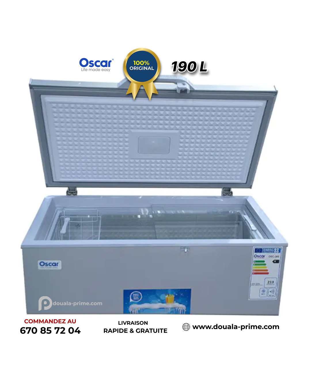CONGELATEUR COFFRE OSCAR OSC-300 190L
