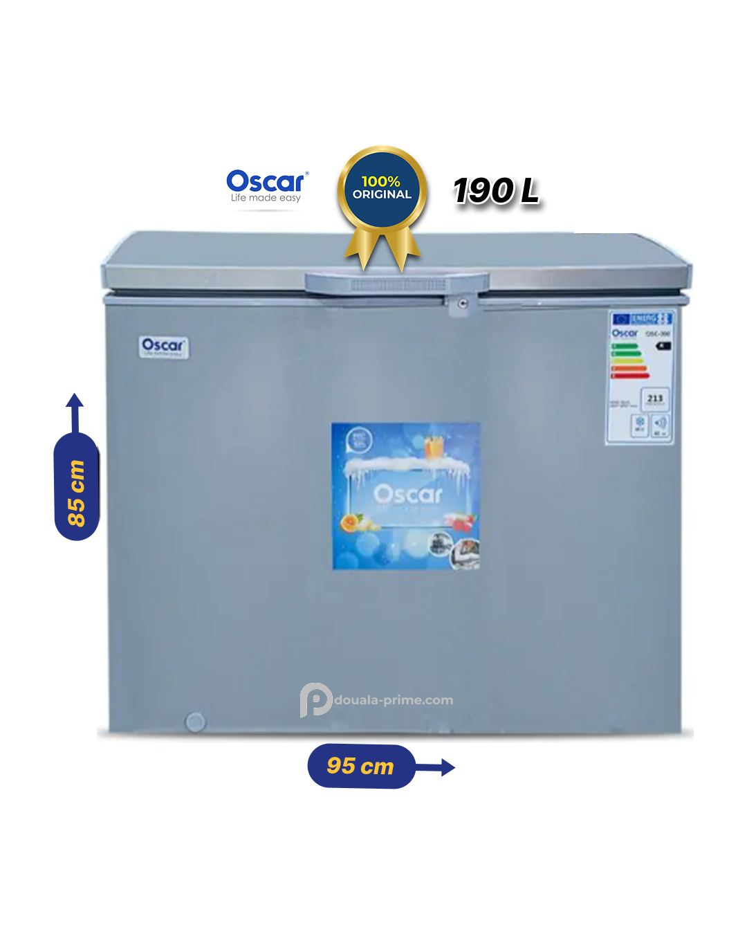 CONGELATEUR COFFRE OSCAR OSC-300 190L