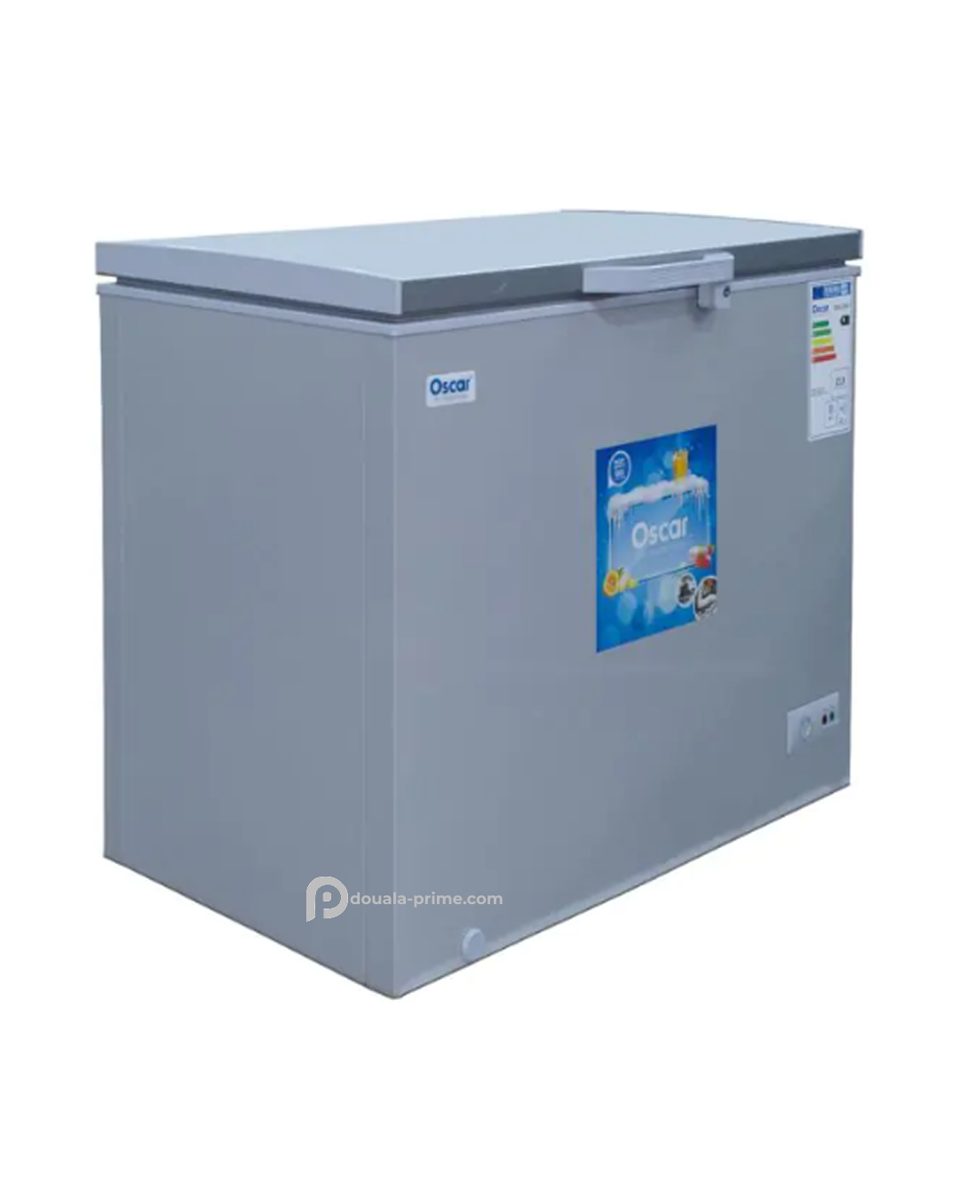 CONGELATEUR COFFRE OSCAR OSC-300 190L