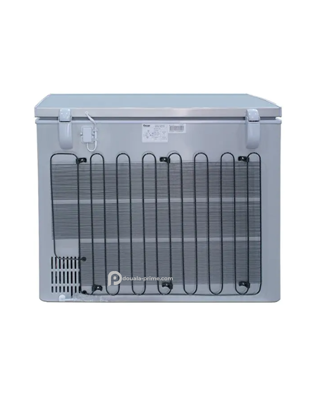 CONGELATEUR COFFRE OSCAR OSC-300 190L