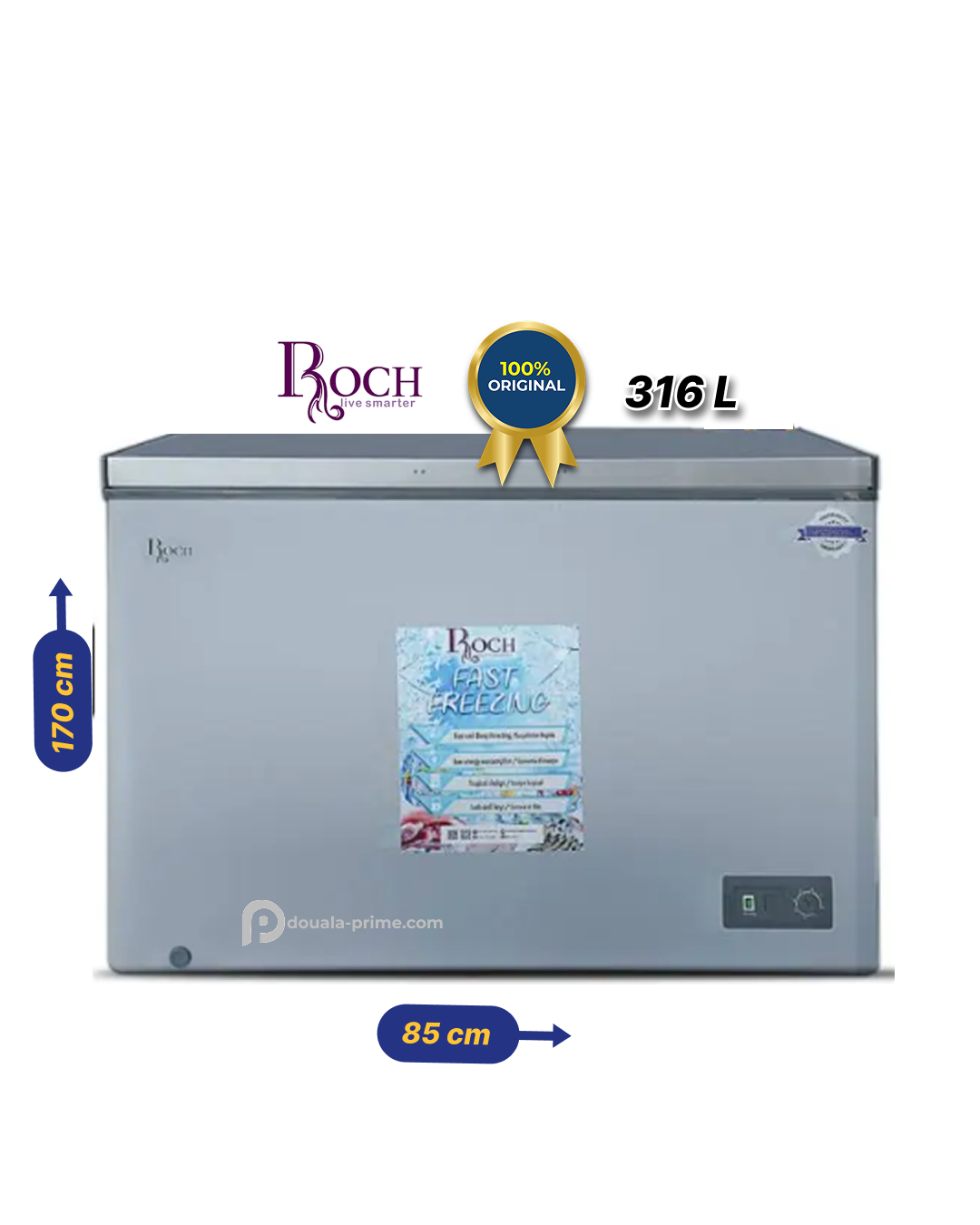 CONGELATEUR COFFRE ROCH RCF-360-B 316L