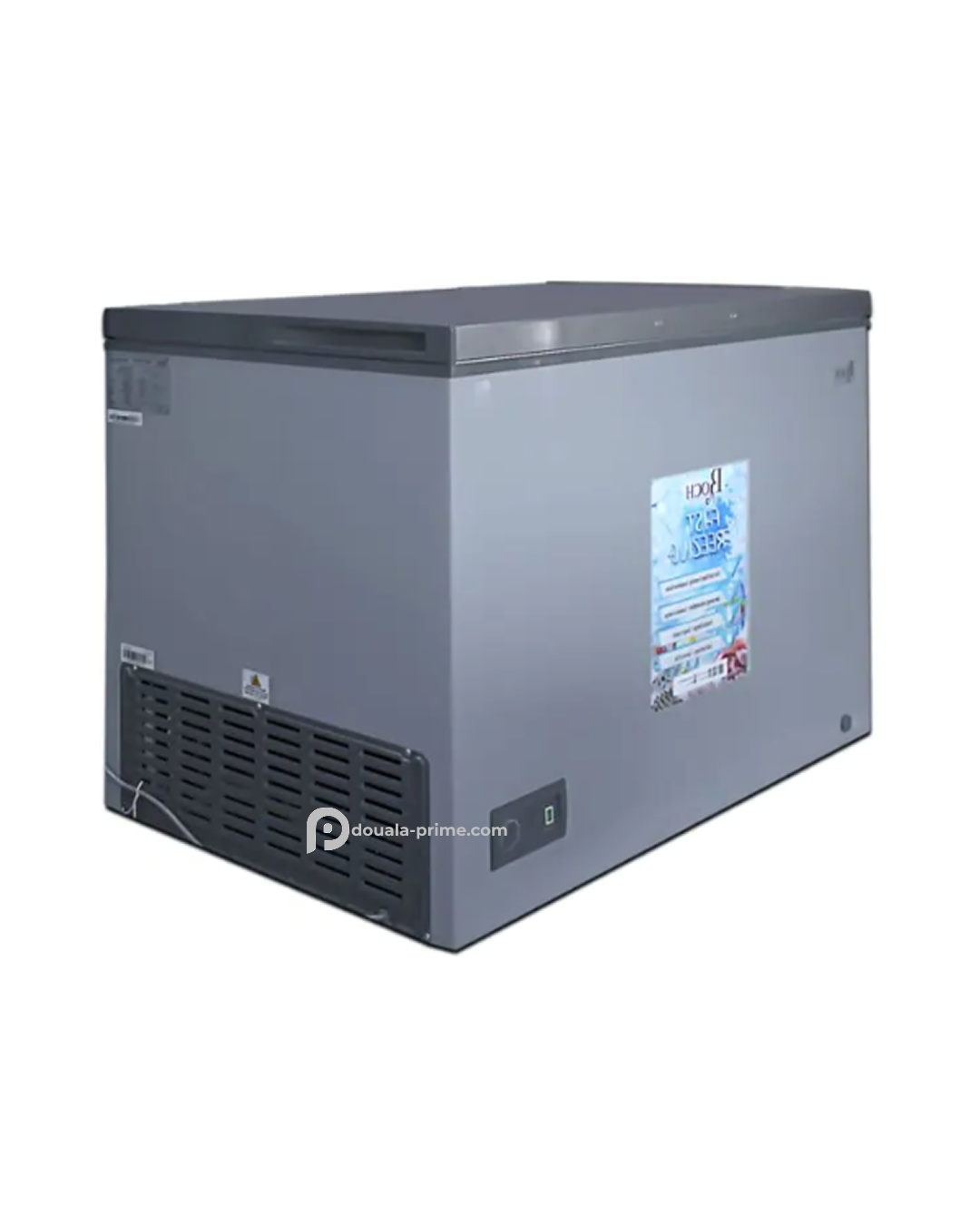 CONGELATEUR COFFRE ROCH RCF-360-B 316L