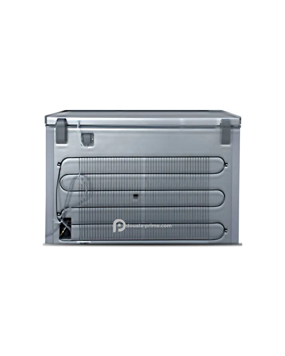 CONGELATEUR COFFRE ROCH RCF-360-B 316L