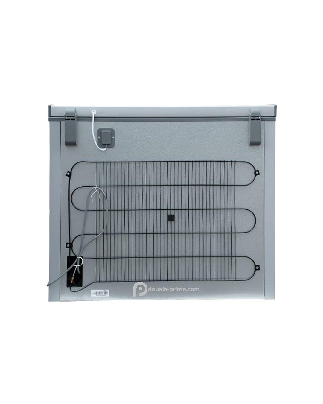 CONGELATEUR COFFRE ROCH RCF-300-B 251L